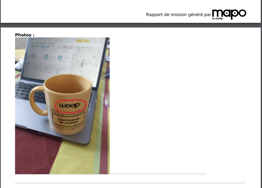 PMA-DAT-fr-rapport mission-03.png